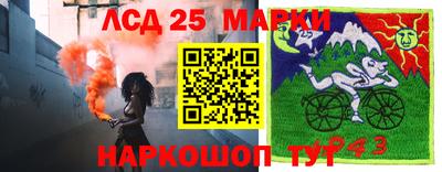 spice Партизанск